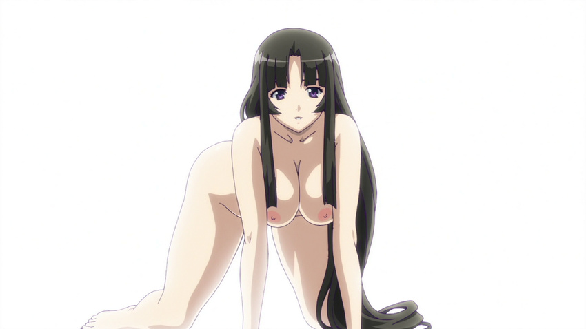 1girl all_fours black_hair breasts hanging_breasts highres long_hair nipples nude purple_eyes queen's_blade queen's_blade screencap smile tomoe