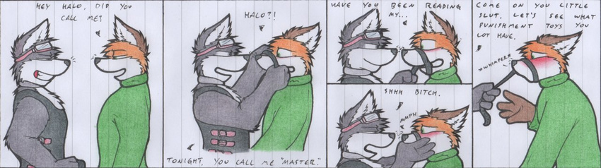 bound canine comic darren domination fox gay googles green_eyes grin male mammal master muzzle_(object) muzzled ren smile wolf wolfoxx