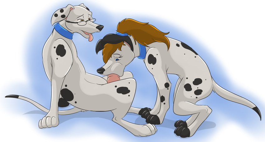 anatomically_correct animal_genitalia canine collar dalmatian digitigrade dog duo erection eyewear fellatio female feral glasses hair knot male mammal open_mouth oral oral_sex penetration penis plain_background psy101 sex straight tongue tongue_out
