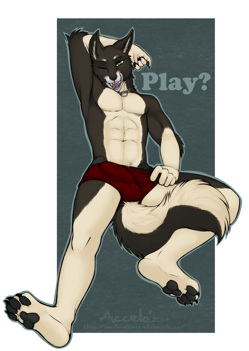 abs accelo anthro barefoot bulge canine claws dog erection green_eyes hindpaw licking licking_lips looking_at_viewer male mammal one_eye_closed pawpads paws penis pinup pose presenting solo tongue topless underwear vpl