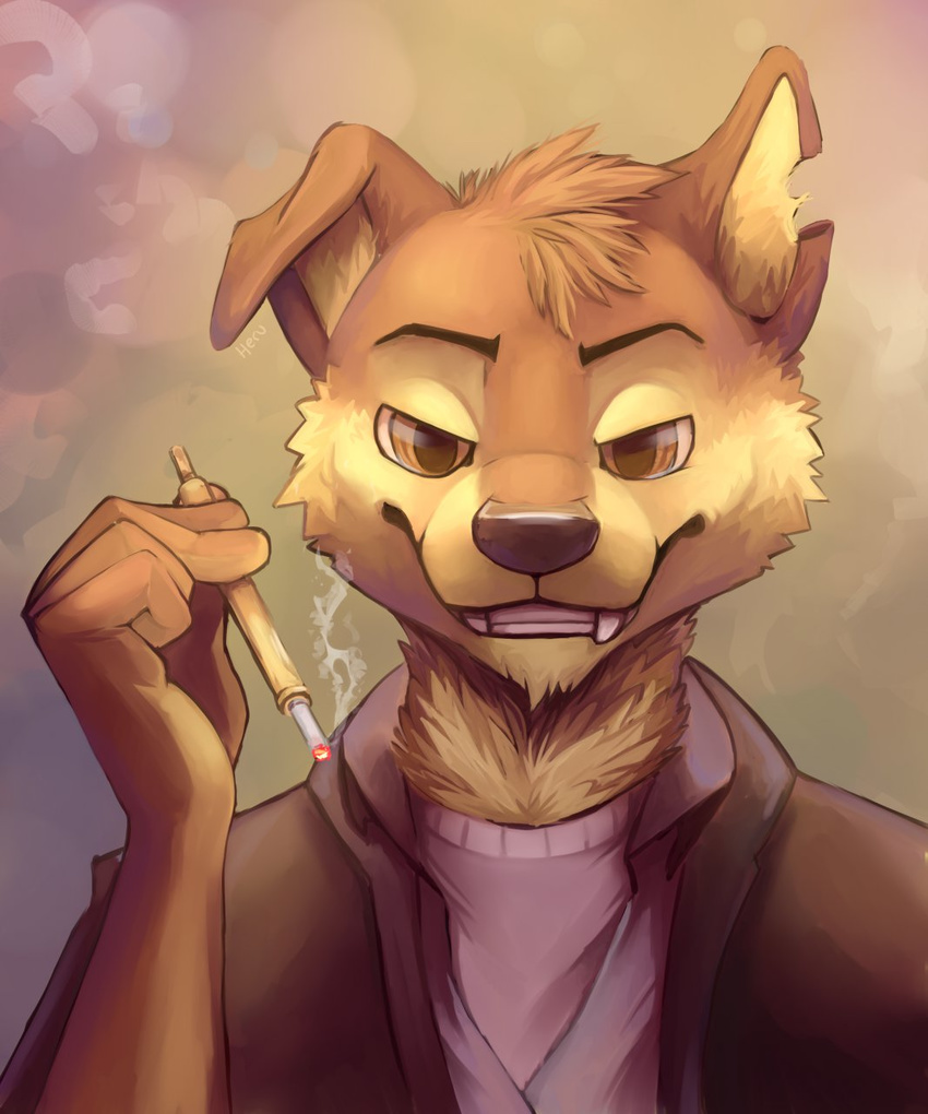 canine cigarette clothing coyote herutastic jacket male mammal shirt smoke solo