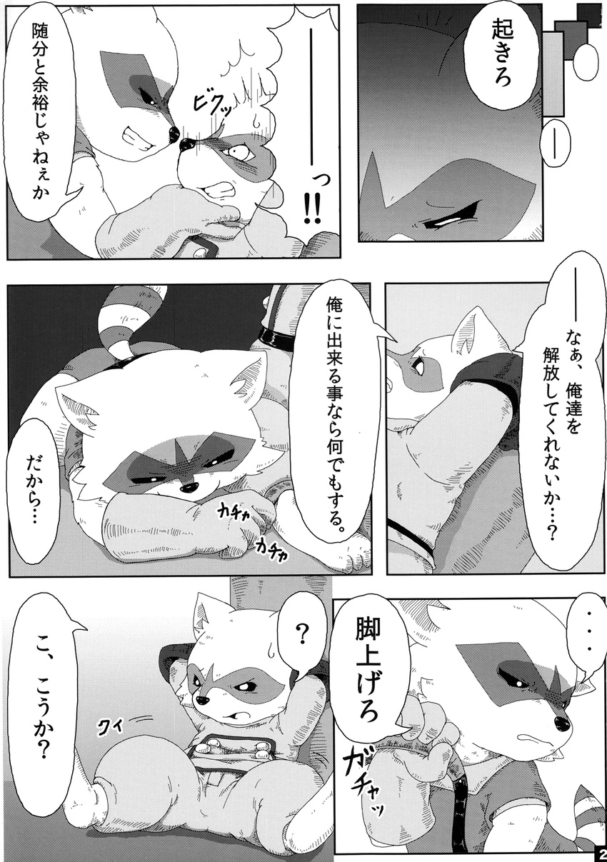 balls black_and_white bound clothing comic dialog duo fellatio gay greyscale japanese_text kemono male mammal monochrome oral oral_sex penis raccoon rocket_raccoon saliva sex text translation_request