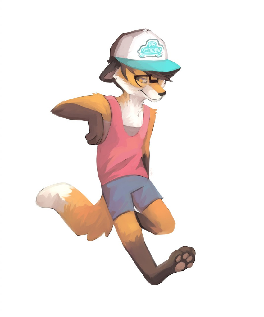 canine eyewear fox glasses hat herutastic male mammal solo