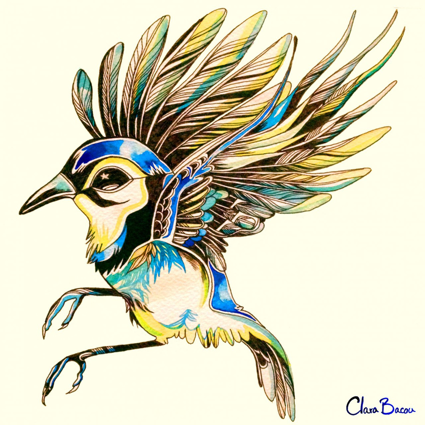 avian bird blue_jay clara_(artist) solo wings