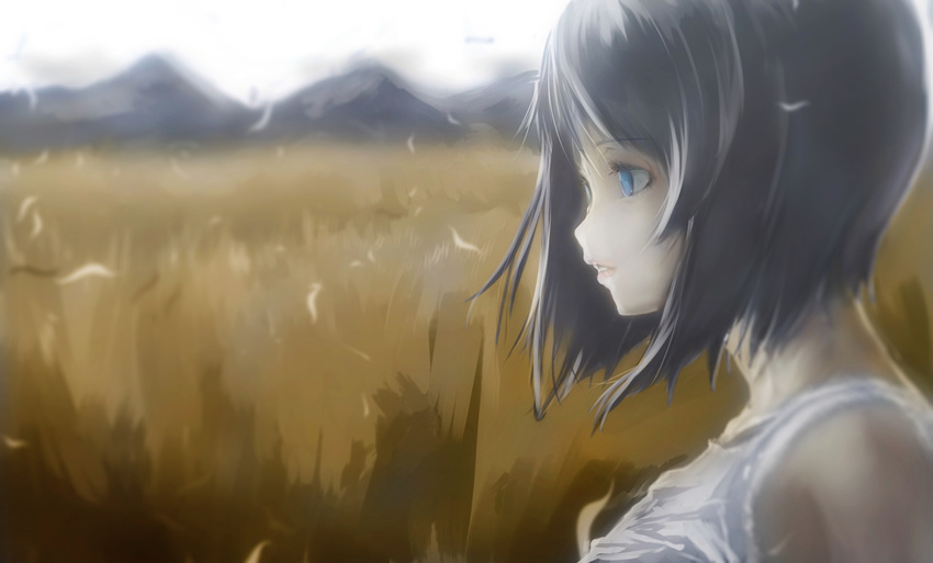 black_hair blue_eyes dress grass hagiwara_yukiho idolmaster mountain photoshop short_hair sky yae_(mono110)