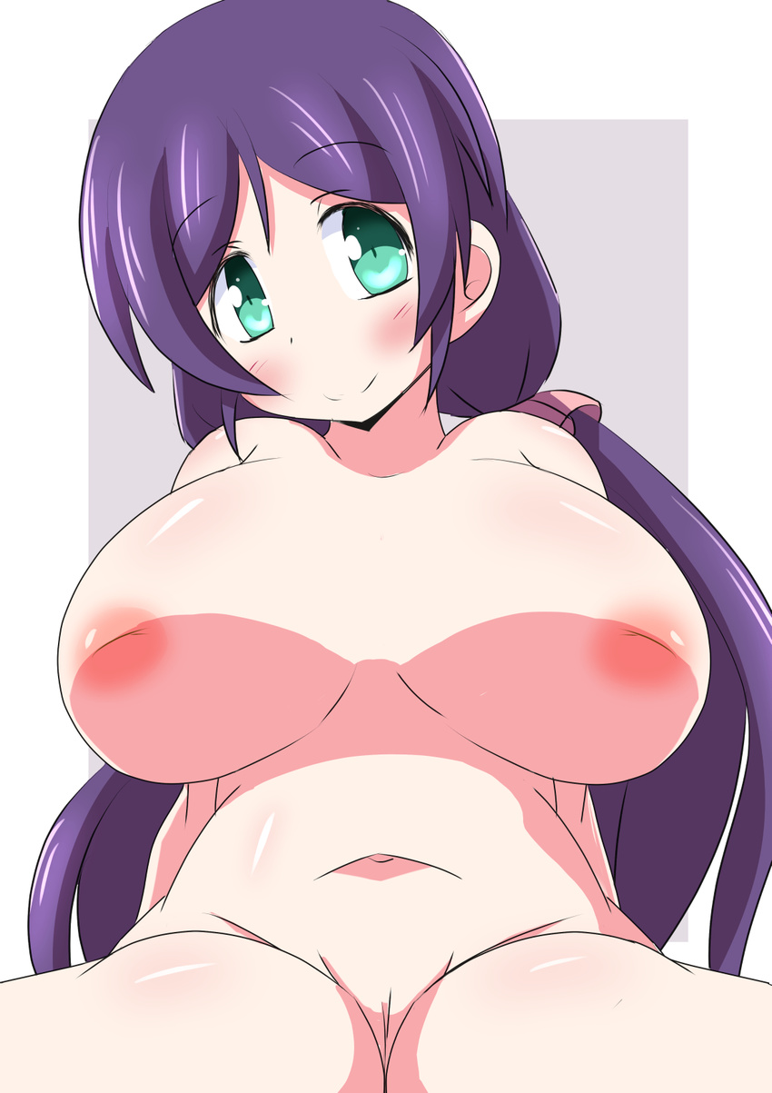 1girl aqua_eyes areolae breasts female hair_ornament highres inverted_nipples long_hair long_twintails love_live!_school_idol_project naruse_mai nasubitei navel nipples nude purple_hair pussy simple_background sitting smile solo toujou_nozomi twintails uncensored
