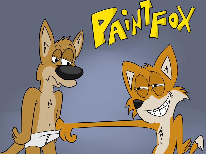 anthro canine cartoon dan duo fox fur gay invalid_tag josh kangaroo male mammal marsupial nude paintfox standing text toony underwear