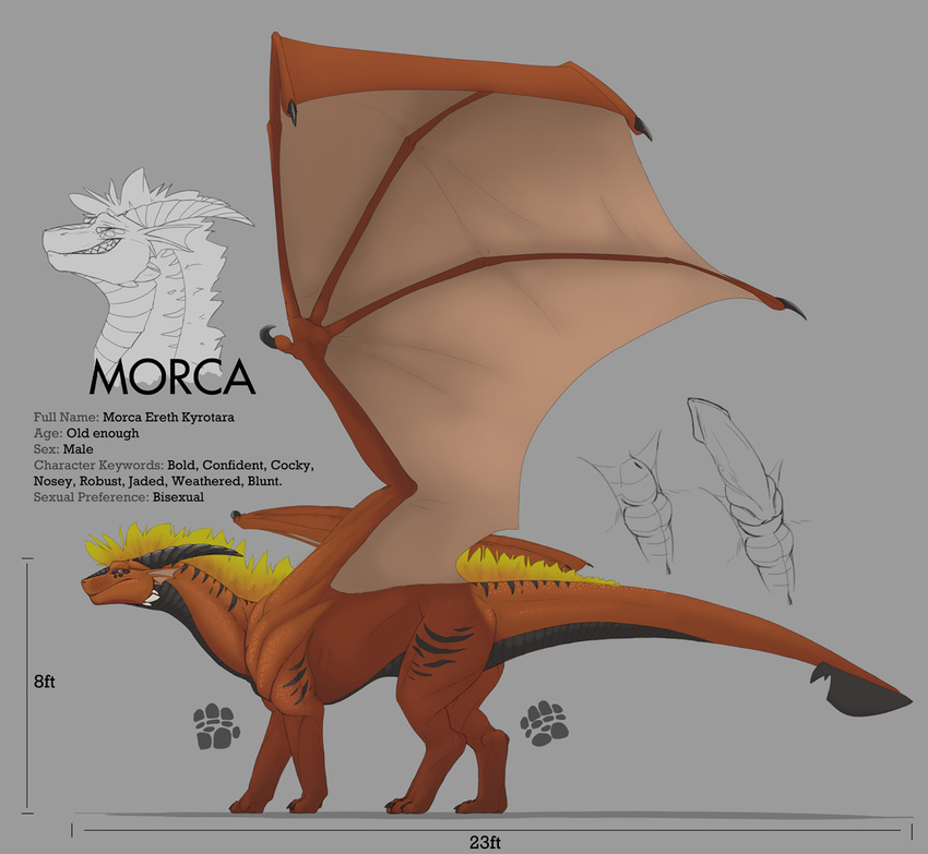 anus balls bust dragon erection feral grin hair horn male model_sheet morca morca_(character) penis red_scales scalie sheath side_view solo standing wings