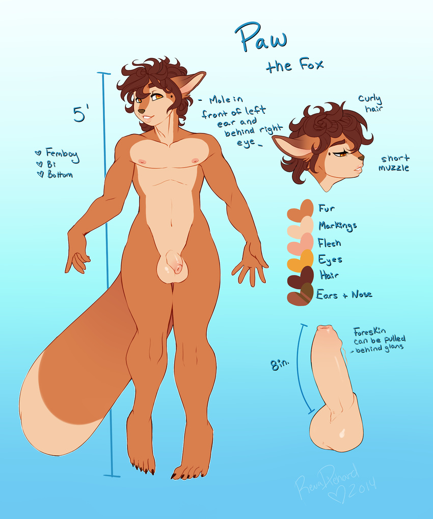 amber_eyes balls brown_hair brown_nose canine claws erection flaccid fox fur girly hair hindpaw humanoid_penis long_foreskin looking_at_viewer male mammal model_sheet navel nipples orange_fur paws penis revadiehard short_hair smile solo standing thighs uncut