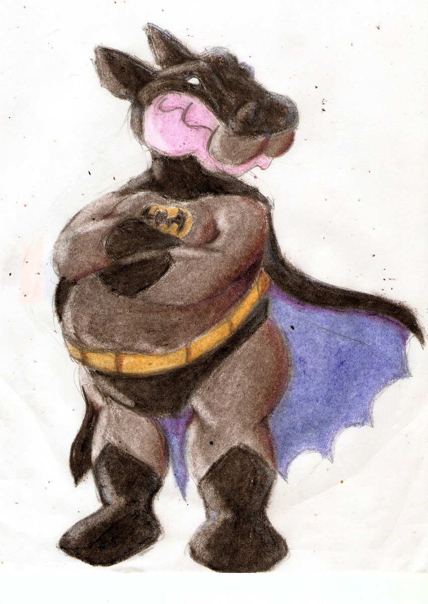 batman batman_(series) boca hippo outfit smaller_version_at_the_source solo