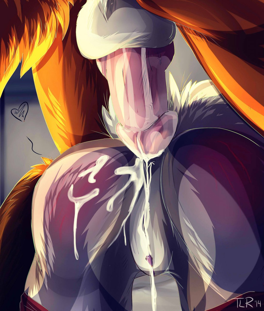 anus balls butt canine cum duo faceless_female faceless_male female fox from_behind jess_(teckly) male mammal nude penis pussy straight tai_lung_(artist) werefox werefox_(character) wolf