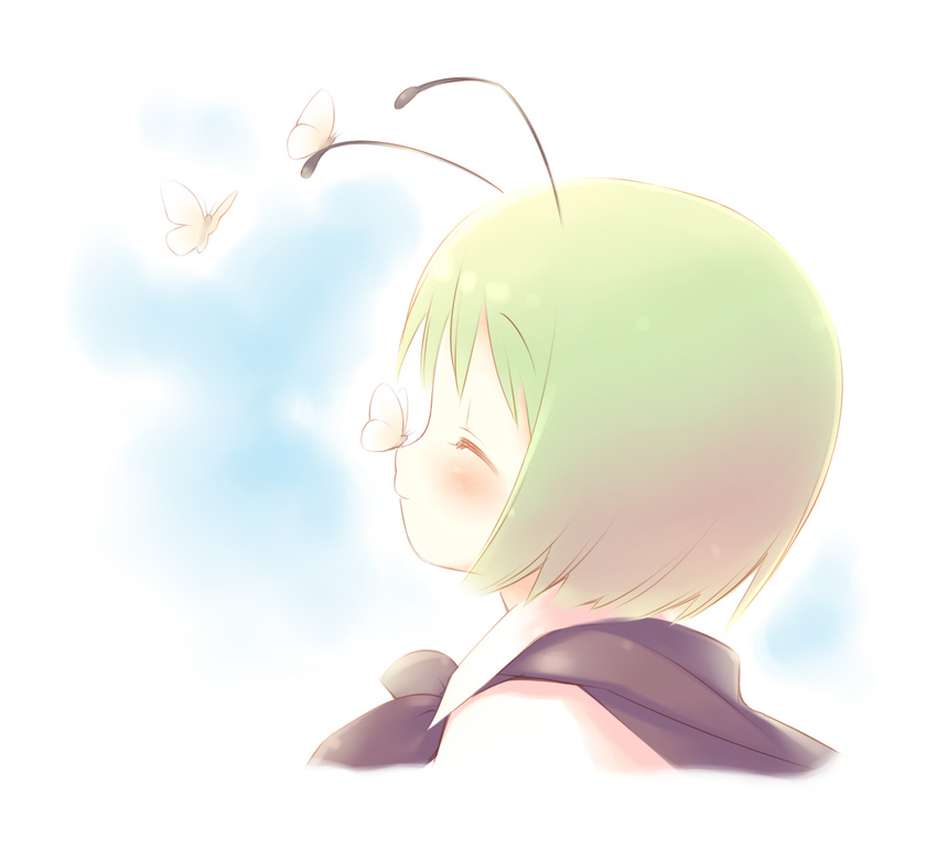 antennae blush border bug butterfly fading_border gayarou green_hair insect portrait profile short_hair smile solo touhou wriggle_nightbug