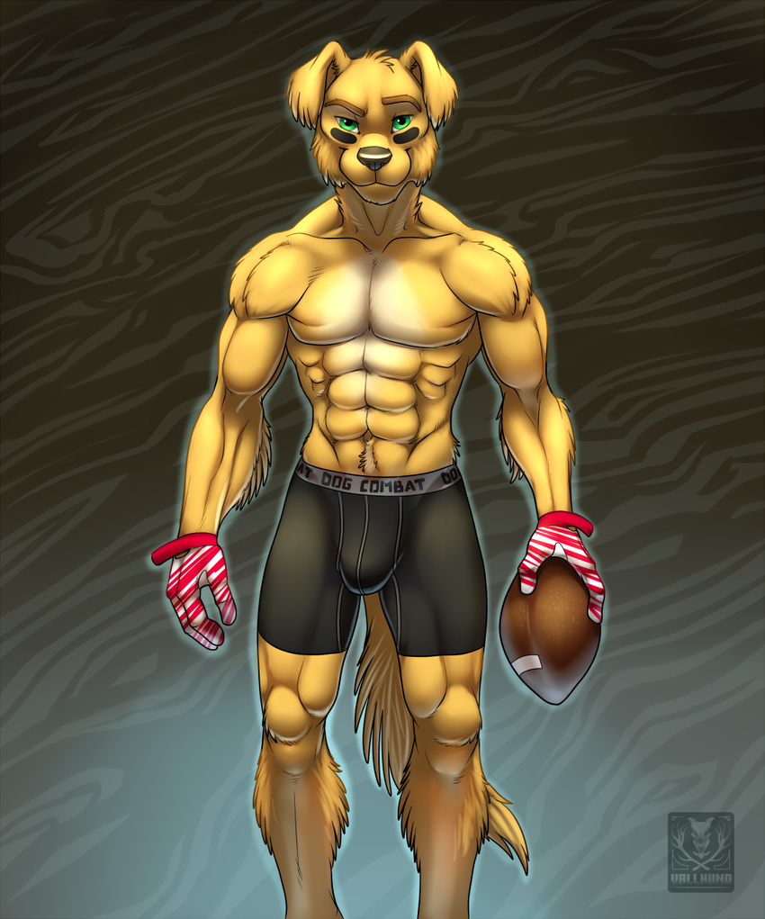 abs anthro biceps black_nose boxers brown_fur bulge canine clothing dog football fur gloves golden_retriever green_eyes grin looking_at_viewer male mammal muscles pecs pose shorts smile solo standing tan_fur toned topless underwear vallhund yellow_fur