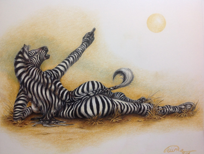 equine female hooves lying mammal nude pointing solo sun teiirka teirrka zebra