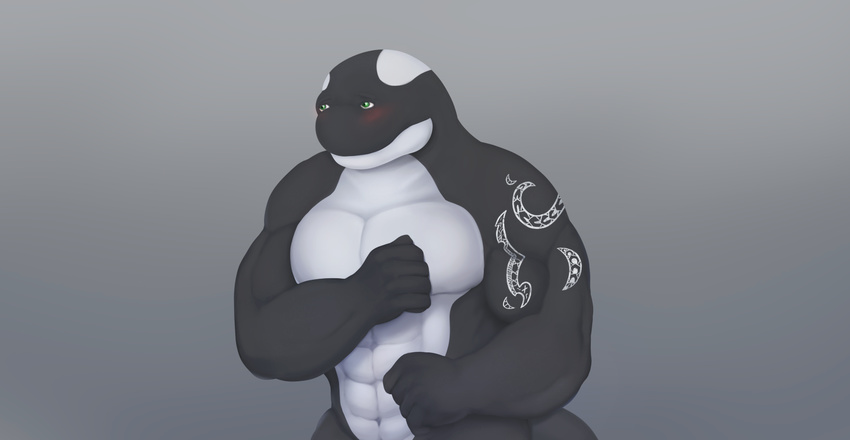 abs anthro biceps big_muscles black_skin blush cetacean gradient_background green_eyes grey_background invalid_color jake_(taggcrossroad) krokodainer male mammal marine muscles nude orca pecs plain_background pose scales shy solo taggcrossroad tattoo toned whale white_skin