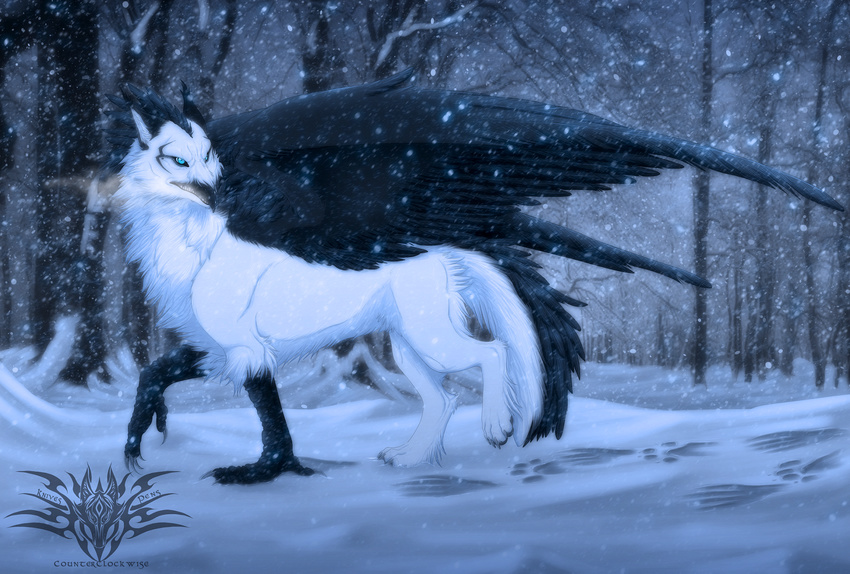 aurin avian black_feathers blue_eyes claws counterclockwize feathers footprints forest fur gryphon hybrid snow snowfall snowing tree white_fur wings