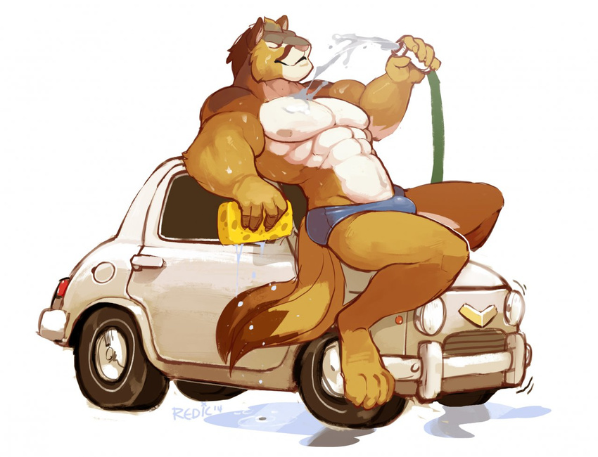 abs biceps bulge car car_wash cougar daitenshi feline fur hair hose male mammal muscles nipples pecs pink_nose pinup pose reclining redic-nomad solo speedo sponge swimsuit topless water wet