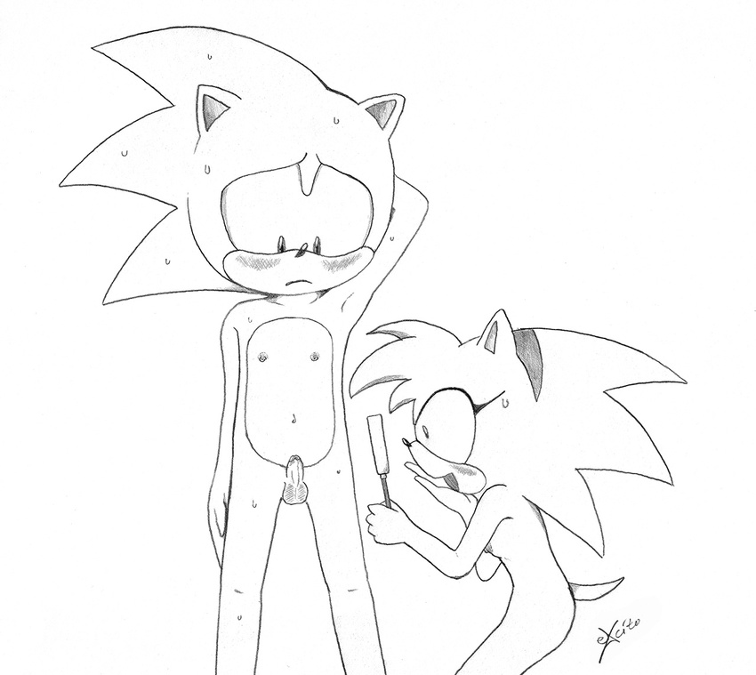 blush breasts duo excito female hedgehog humiliation laugh magnifier magnifying_glass male mammal penis sega small_balls small_breasts small_penis small_penis_humiliation sonic_(series) sonic_the_hedgehog sweat