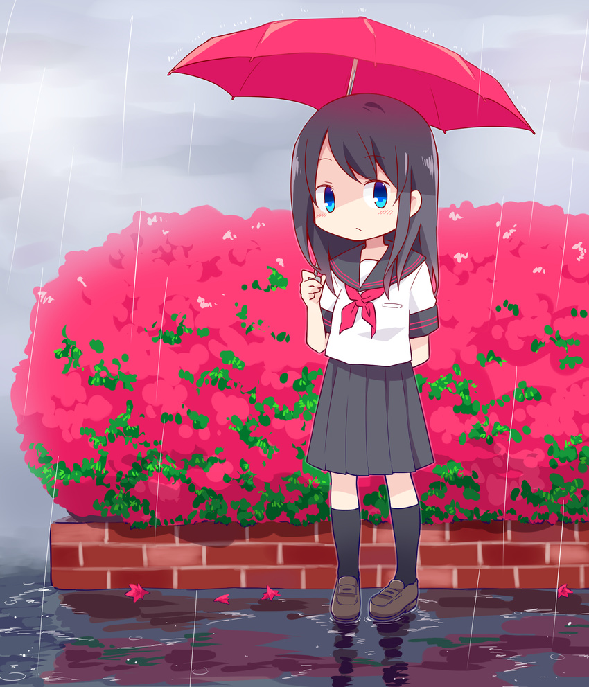 :/ black_hair black_legwear blue_eyes flower highres holding loafers long_hair looking_at_viewer original rain school_uniform serafuku shoes solo umbrella yamabuki_(yusuraume)