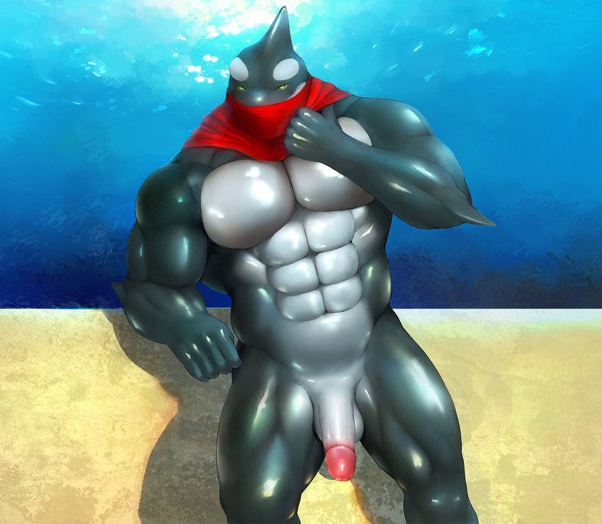 abs anthro balls biceps big_muscles big_penis black_skin cetacean fin fish flaccid green_eyes grey_skin humanoid_penis iceman1984 looking_at_viewer male mammal marine muscles nude orca pecs penis pose scales scarf shark solo standing toned water whale