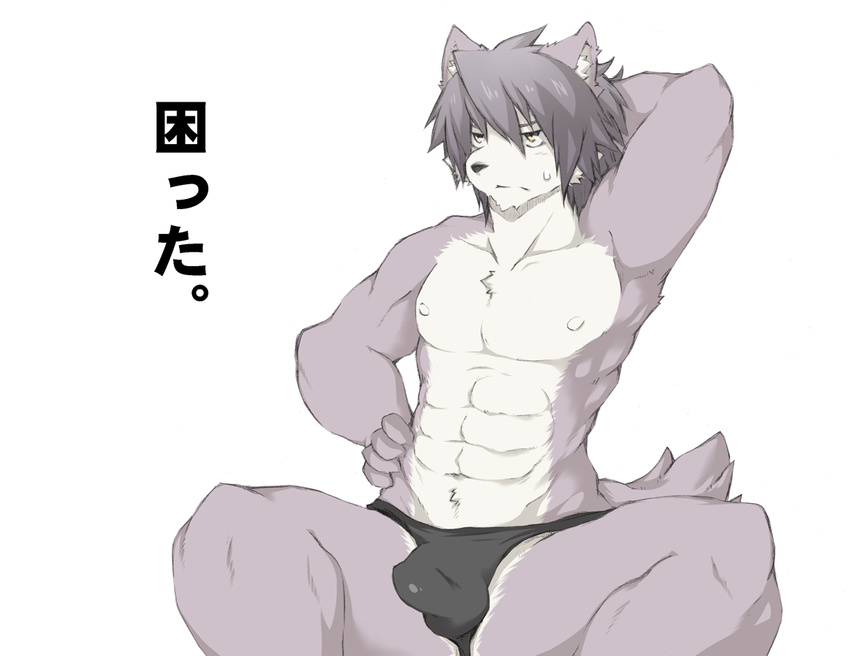 anthro armpits biceps bulge canine chest_tuft dog frown fur grey_fur grey_hair hair hand_behind_head hand_on_hip husky japanese_text kemono kouya_aotsuki male mammal morenatsu muscles nipples parma15 pecs plain_background sitting solo speedo sweat swimsuit text topless tuft white_background yellow_eyes