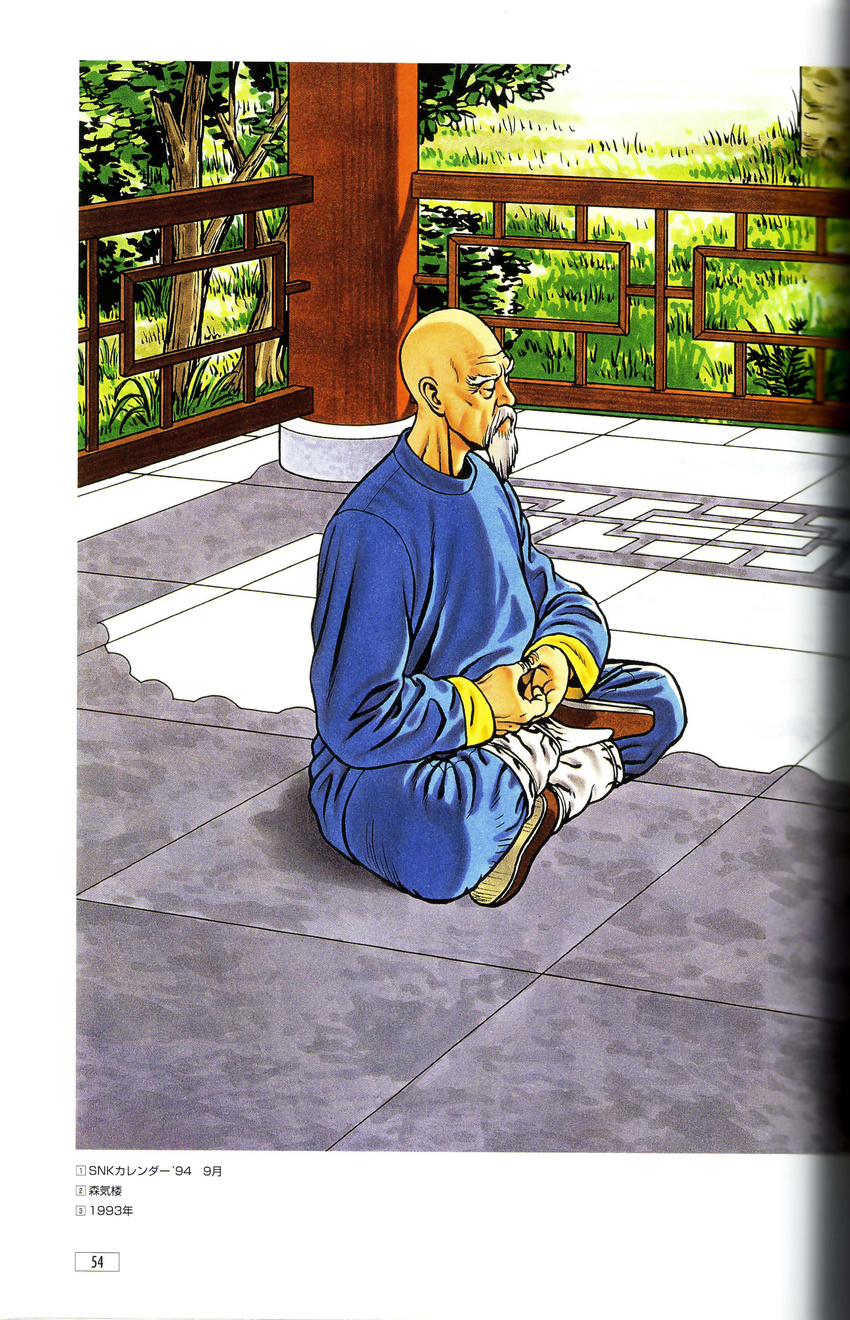 absurdres artbook chinese_clothes dhyana_mudra fatal_fury garden half_lotus_position highres indian_style male_focus meditation mori_toshiaki mudra official_art old_man scan sitting solo tung_fue_rue