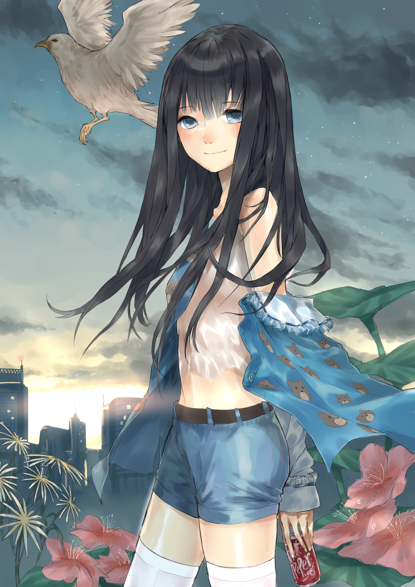 absurdres bird black_hair blue_eyes camisole can dr_pepper flower highres kami-sama_no_memo-chou long_hair looking_at_viewer messikid midriff night night_sky off_shoulder profile shionji_yuuko shorts sidelocks sky smile soda_can solo standing sunset thighhighs white_legwear