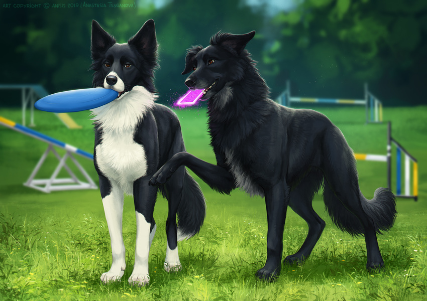 2019 ambiguous_gender anisis black_fur black_lips black_nose brown_eyes canid canine canis day detailed_background digital_media_(artwork) domestic_dog duo feral fur grass mammal outside paws sky smile standing teeth