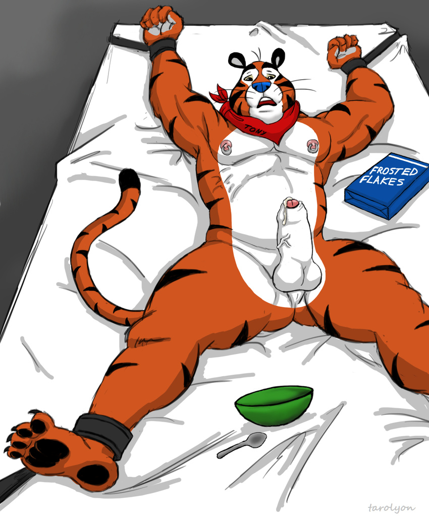 anthro balls bed bound bowl captured cereal cum feline frosted_cereal frosted_flakes invalid_tag kellogg's male mammal mascot muscles nipple_piercing nipples nude paws penis piercing pirced_nipples precum scarf sheath source_request spoon straps stripes tarolyon the they're_greeeeeeeeat tiger tony tony_the_tiger uncut vein veiny_cock veiny_penis