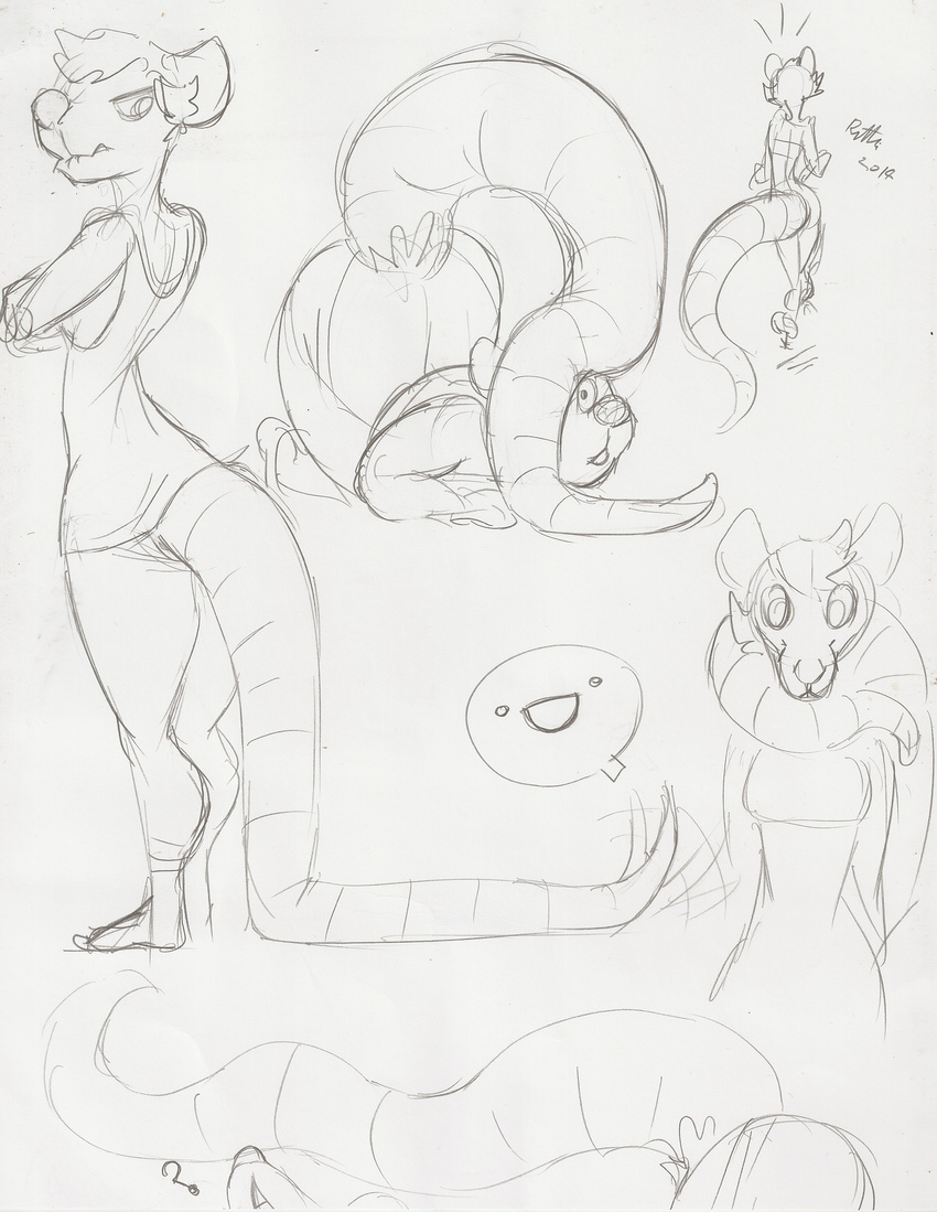 dentia female long_tail mammal prehensile_tail rat ricket ritts rodent sketch thick_tail thighs