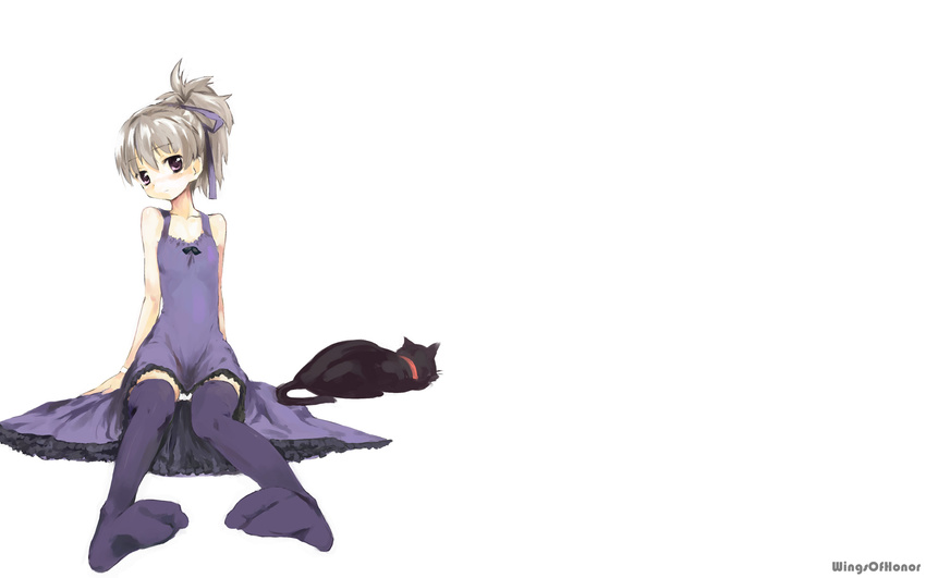 animal cat darker_than_black gray_hair mao_(darker_than_black) white yin