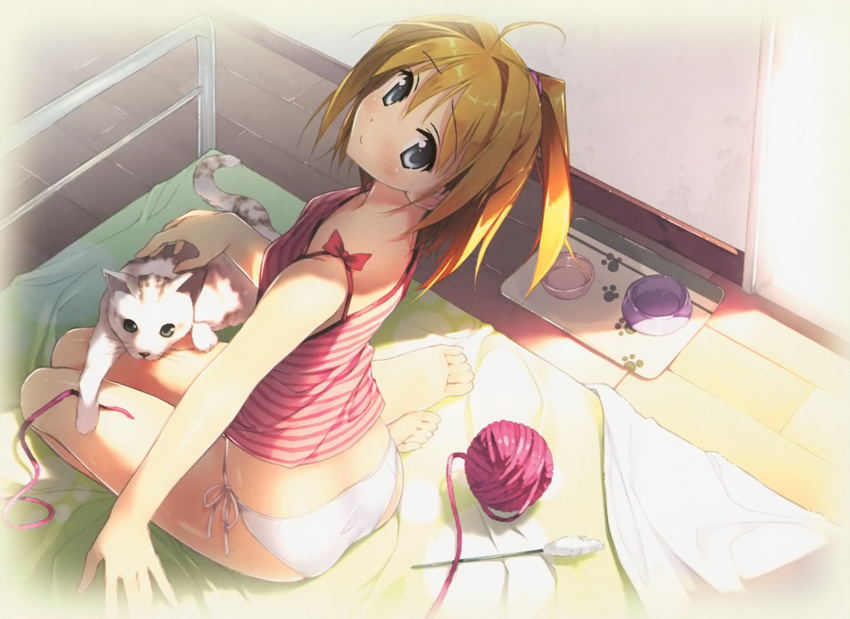 5_nenme_no_houkago animal blush cat kantoku miyaguchi_kei original panties underwear