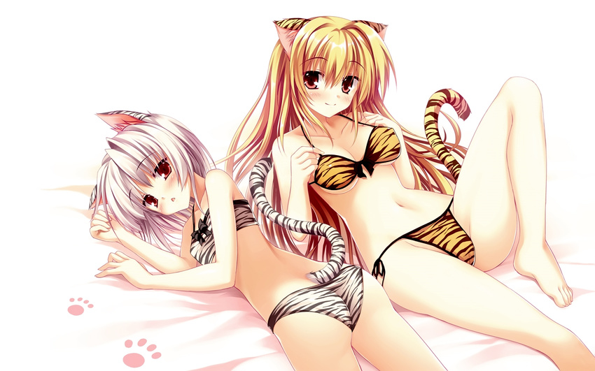 2girls animal_ears bed blonde_hair blush bra cameltoe catgirl navel panties red_eyes tail tateha underboob underwear white white_hair