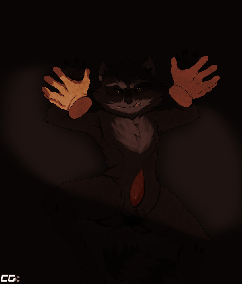 crazedg disembodied_hand erection guardians_of_the_galaxy male mammal penis raccoon rocket_raccoon