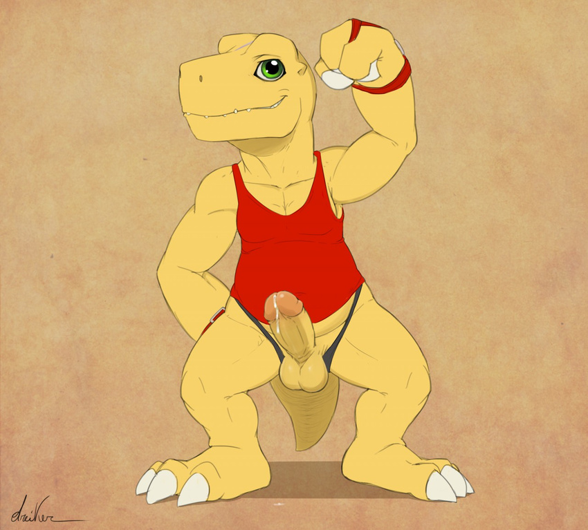 agumon anthro balls biceps claws clothing digimon dreiker erection fist flexing green_eyes humanoid_penis looking_at_viewer male muscles penis precum shirt solo standing tank_top thong tight_clothing toe_claws