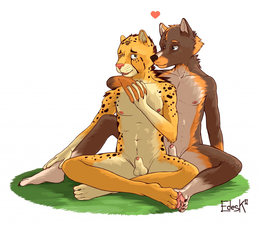 cheetah couple cute duo feline gay male mammal nude penis tribal wolf