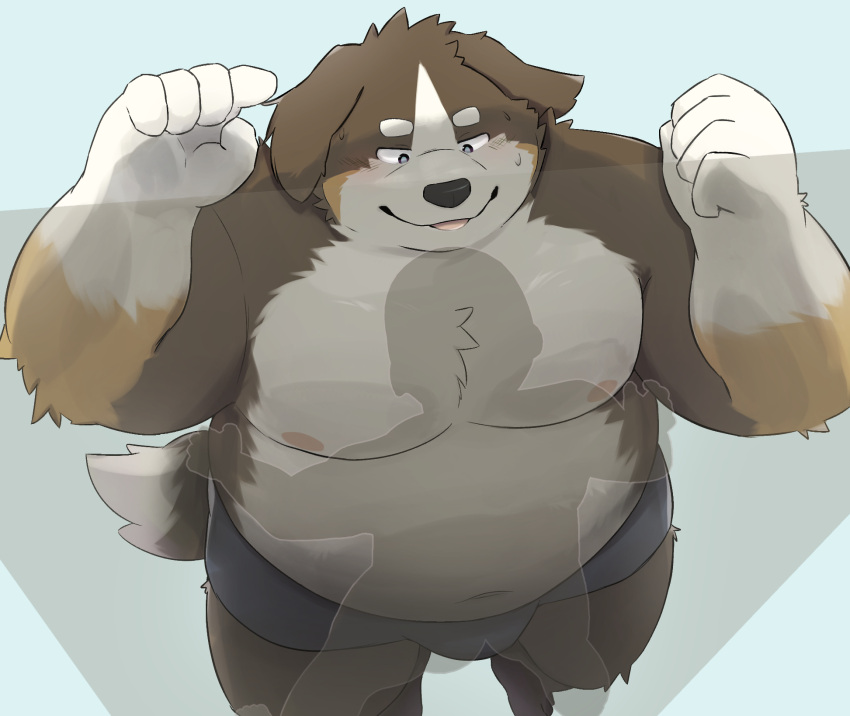 2024 anthro belly bernese_mountain_dog big_belly black_nose canid canine canis clothing domestic_dog duo hi_res kemono lying male mammal man_hands molosser moobs mountain_dog nipples noctnoc overweight overweight_male solo_focus swiss_mountain_dog underwear