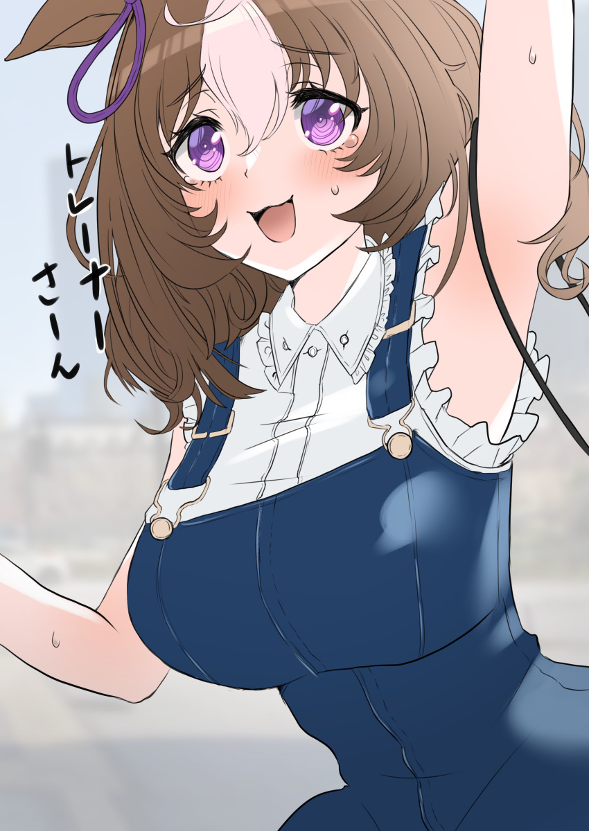 1girl :3 @_@ absurdres alternate_costume animal_ears arm_up armpits bag blue_dress blurry blurry_background blush breasts brown_hair commentary_request cowboy_shot dress ear_ribbon frilled_dress frills hair_between_eyes handbag highres horei_tsuna horse_ears horse_girl large_breasts meisho_doto_(umamusume) multicolored_hair open_mouth outdoors purple_eyes purple_ribbon ribbon smile solo streaked_hair sweat umamusume white_hair