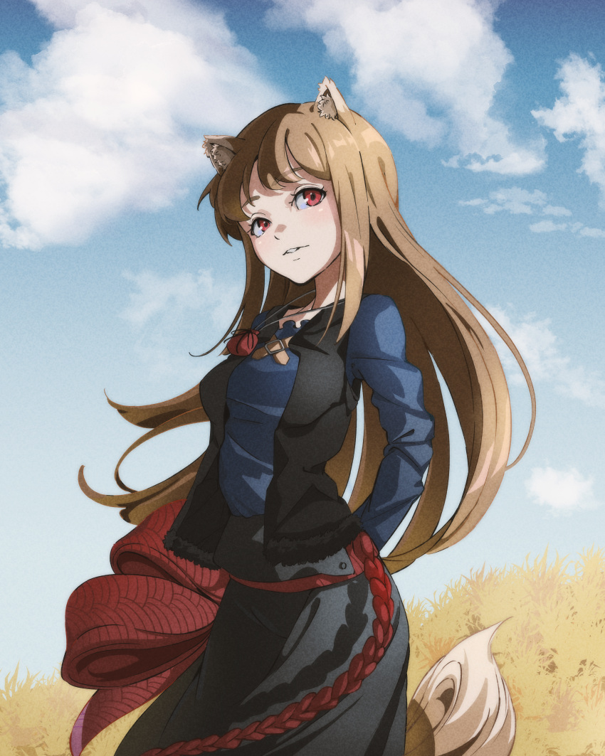1girl absurdres animal_ears arms_behind_back black_vest blue_shirt breasts brown_hair cloud day grey_skirt highres holo jewelry light_brown_hair long_hair looking_at_viewer medium_breasts natsume_hinako outdoors parted_lips pendant red_eyes red_rope rope shirt sidelocks skirt sky solo spice_and_wolf standing tail vest wheat wheat_field wolf_ears wolf_girl wolf_tail