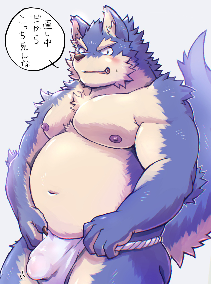 2024 anthro asian_clothing belly blush bulge canid canine canis clothing detailed_bulge dialogue east_asian_clothing fundoshi genital_outline hi_res japanese_clothing japanese_text kemono male mammal moobs musclegut muscular navel nipples overweight overweight_male penis_outline simple_background solo text toraya_inugami underwear white_clothing white_fundoshi white_underwear wolf