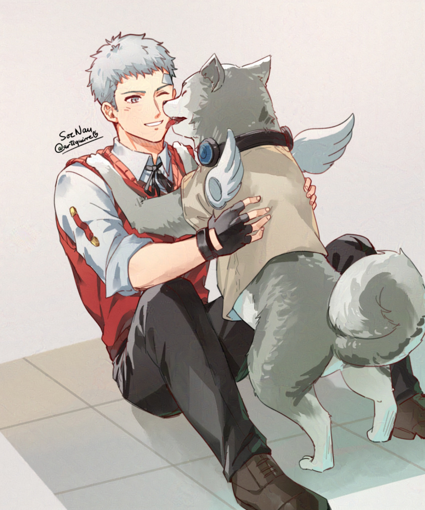 1boy animal bandaid bandaid_on_face bandaid_on_forehead black_gloves black_pants black_ribbon brown_footwear collared_shirt commentary dog english_commentary fingerless_gloves gloves grey_fur grey_hair highres knees_up koromaru_(persona) looking_at_another male_focus neck_ribbon one_eye_closed pants parted_lips persona persona_3 red_sweater_vest ribbon sanada_akihiko shirt short_hair sitting sleeves_rolled_up smile soc_nau sweater_vest tongue tongue_out twitter_username white_shirt white_wings wings