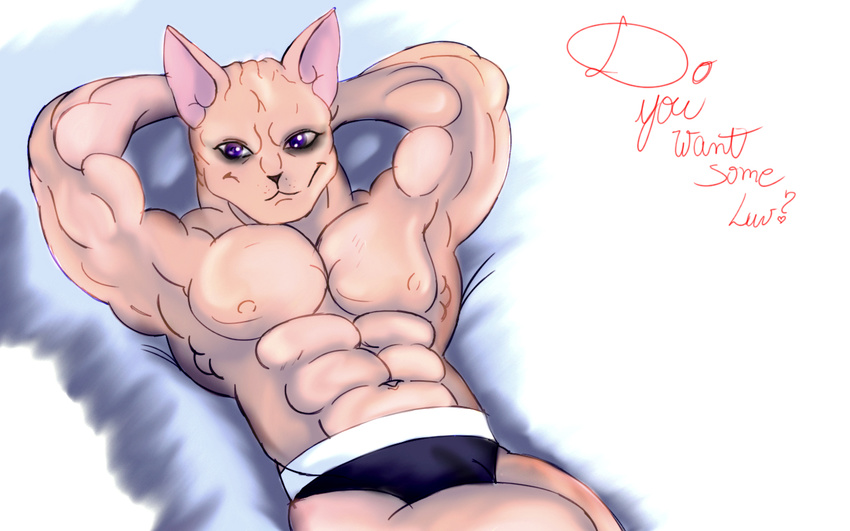 bardofox cat feline invalid_tag love male mammal muscles pecs sphinx