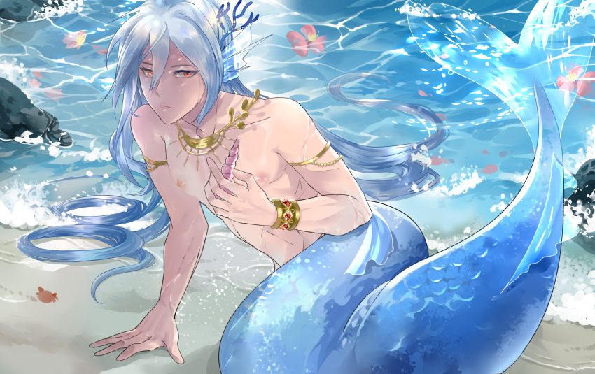 1boy armlet beach bishounen blue_hair blue_scales bracelet character_request commentary_request eve_(hellodolphin93633) fins flower full_body h hair_between_eyes hand_up head_fins highres holding holding_shell jewelry long_hair looking_at_viewer male_focus merman monster_boy necklace nipples original outdoors parted_lips red_eyes red_flower rock sand scales seashell shell shore solo the_tale_of_food very_long_hair water wet wet_hair