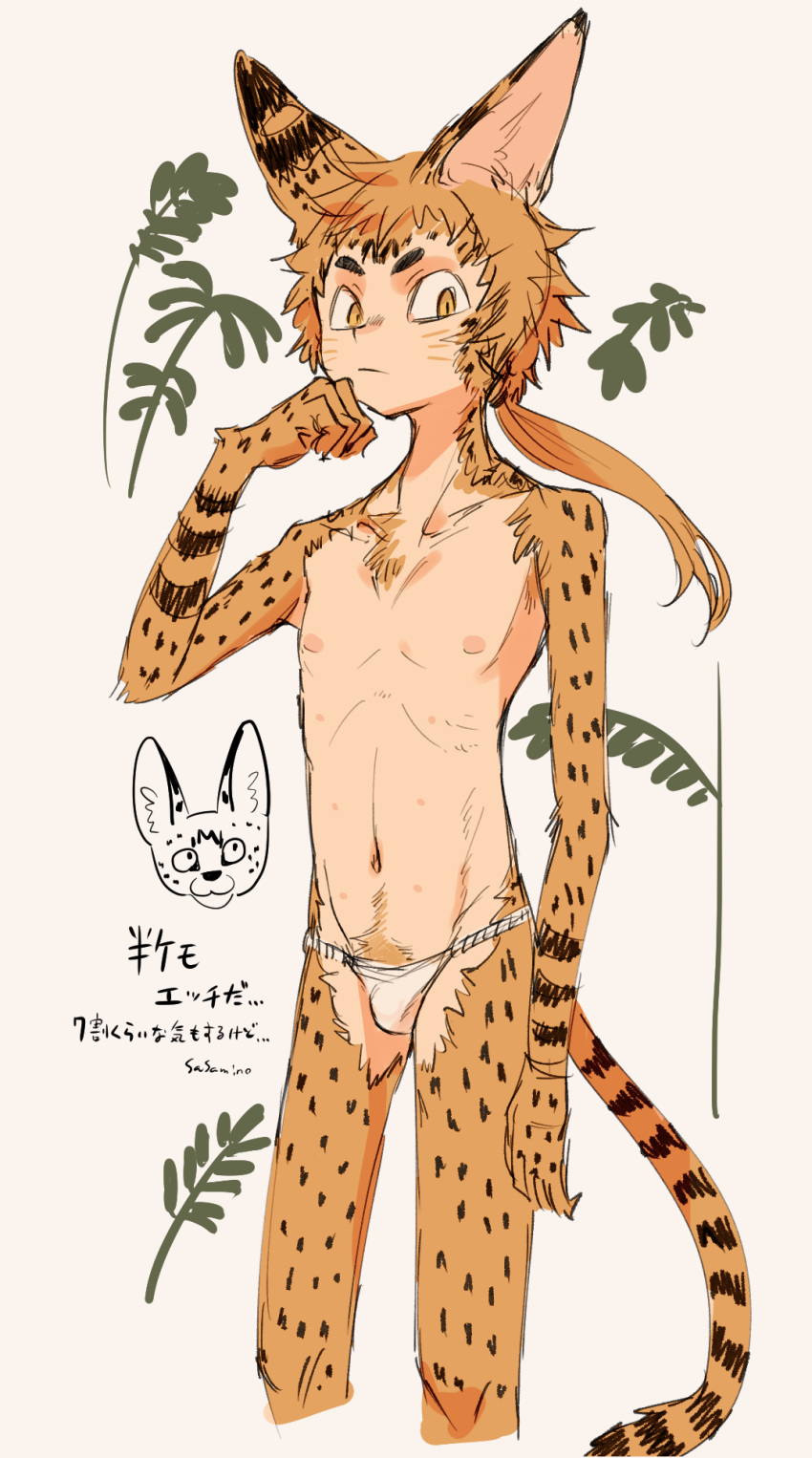 1boy animal_ears body_fur brown_background brown_fur brown_hair bulge cat_boy cat_ears cat_tail closed_mouth commentary_request cropped_legs extra_nipples facial_mark fundoshi hand_up highres japanese_clothes looking_at_viewer male_focus monster_boy original plant sasamichr short_eyebrows short_hair simple_background slit_pupils solo standing tail translation_request yellow_eyes