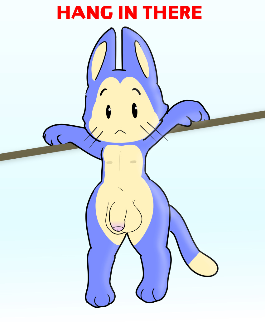 absurd_res anthro blue_body brotha's domestic_cat dragon_ball felid feline felis flaccid genitals girly hanging_by_arms hi_res male mammal nude penis puar_(dragon_ball) slim solo wide_hips