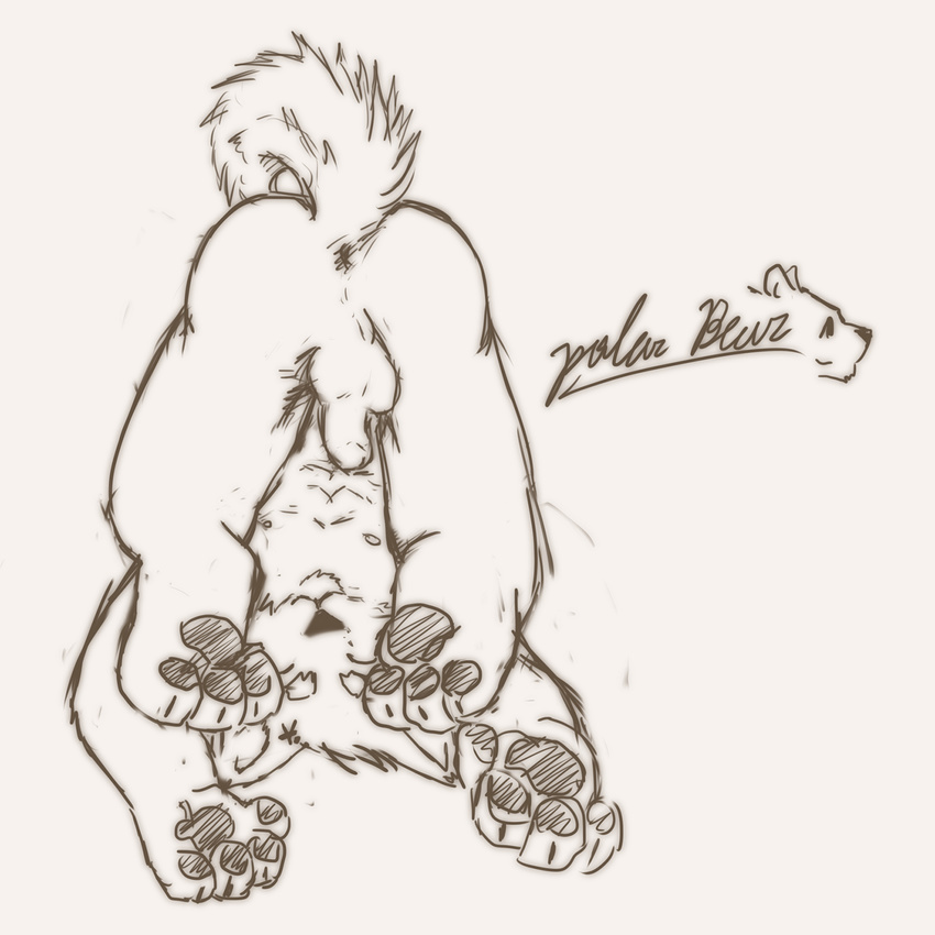 balls butt canine happy hindpaw kemono male mammal nipples pawpads paws penis plain_background sketch solo stevenlew upside_down white_background