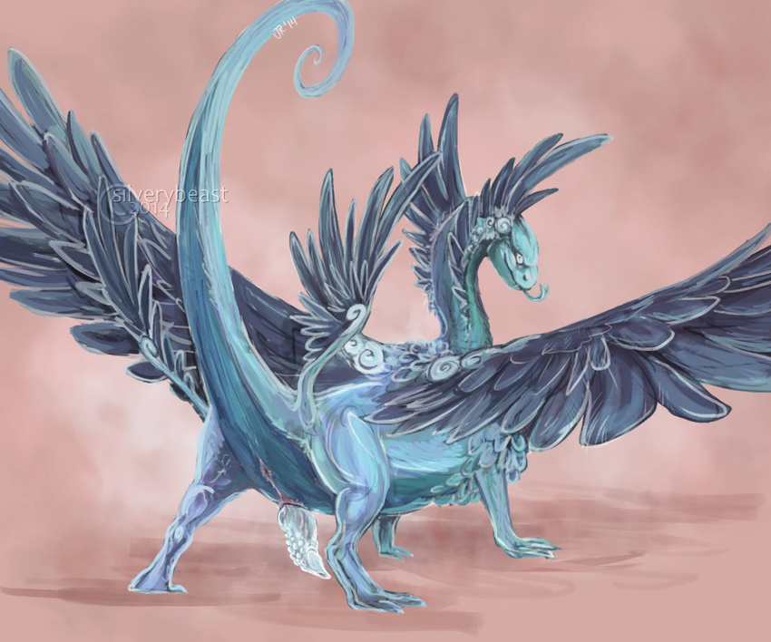 anus blue_penis coatl_dragon digitigrade dragon erection feathers feral flight_rising forked_tongue genital_slit looking_at_viewer looking_back male penis presenting raised_tail silverybeast slit solo tongue tongue_out wings