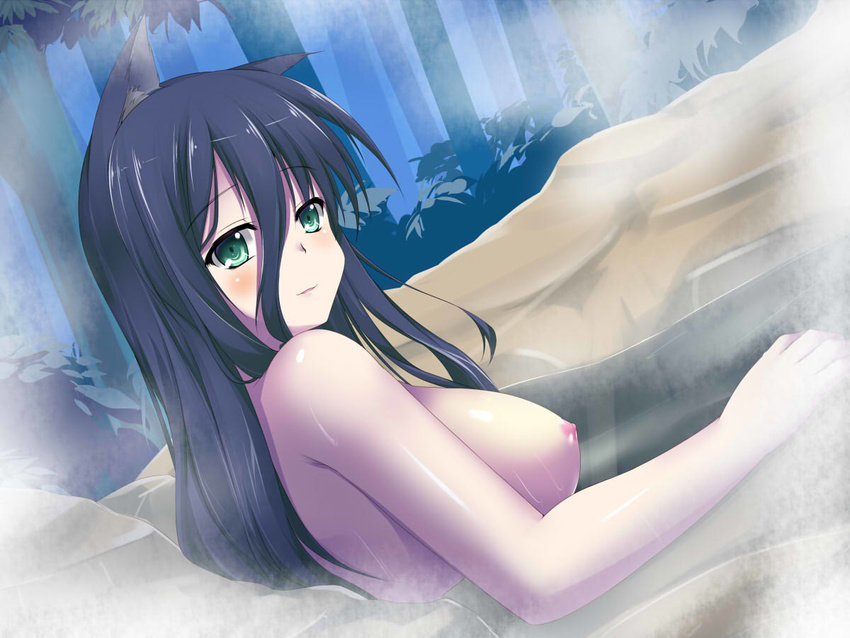 animal_ears bath blue_hair blush breasts dutch_angle forest green_eyes hoshizuki_(seigetsu) large_breasts long_hair looking_at_viewer nature nipples nude onsen original solo water