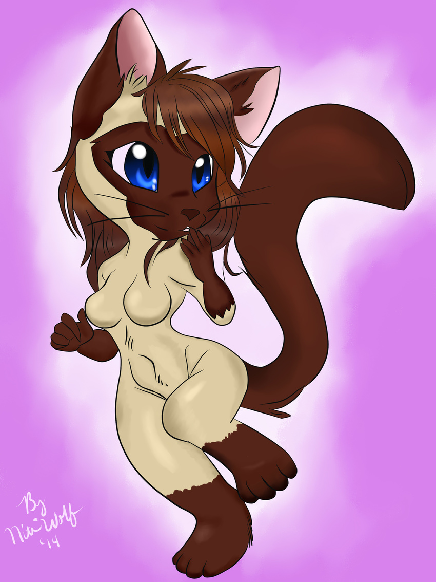 anthro blue_eyes breasts brown_hair cat cute feline female firefly8083 fur hair mammal nite`wolf open_mouth patchi siamese solo whiskers