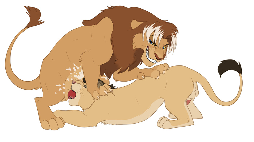 feral gay kiwa knon lion male mammal